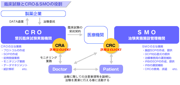 臨床試験とCRO&SMOの役割